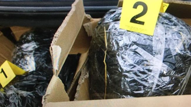 Policia  gjatë një operacioni anti-drogë arreston tre persona të dyshuar dhe gjen mbi 11 kilogram substancë të dyshuar narkotike