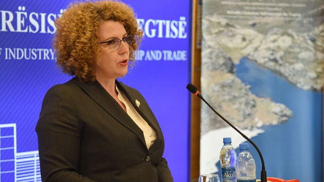 Ministrja Hajdari merr vendim për hetimin e importit të bllokave nga Serbia