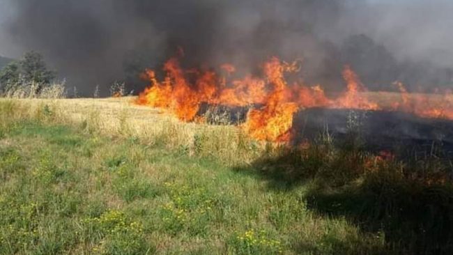 Zjarre fushore në Zhiti dhe në Pozheran të Vitisë