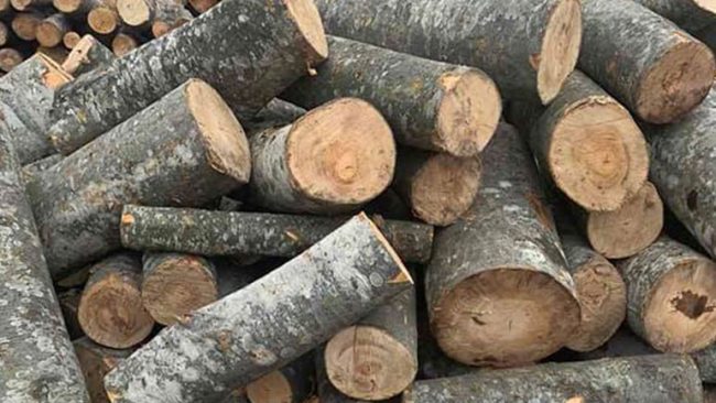 Ndalohet një furgon me dru për djegie, nuk kishte dokumente përcjellëse
