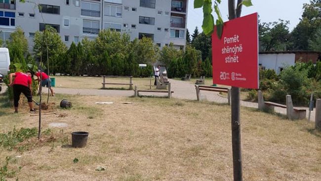 Banka Ekonomike me Komunën e Kamenicës mbjellin 20 drunj dekorativ