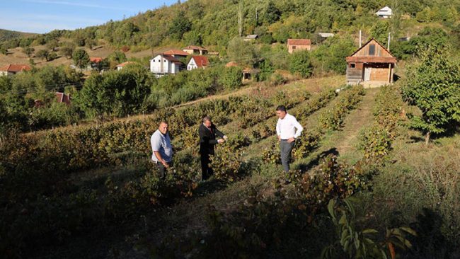 Programi ynë qeverisës parasheh kalimin e bujqësisë nga ajo tradicionale në atë bashkëkohore