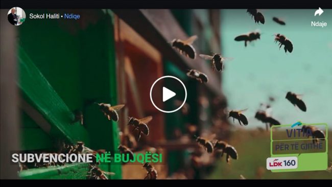 Bujqësia do të mbetet fusha me prioritetet të lartë edhe gjatë mandatit të tretë (video)