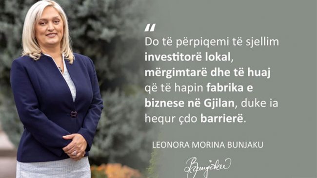 Do t’i heqim barrierat për investitorë