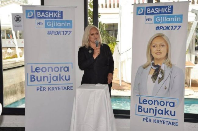 Zotimi i PDK-së për zhvillimin ekonomik në Gjilan