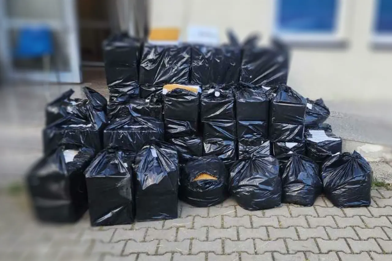 Viti: Parandalohet një rast i kontrabandimit me mallra