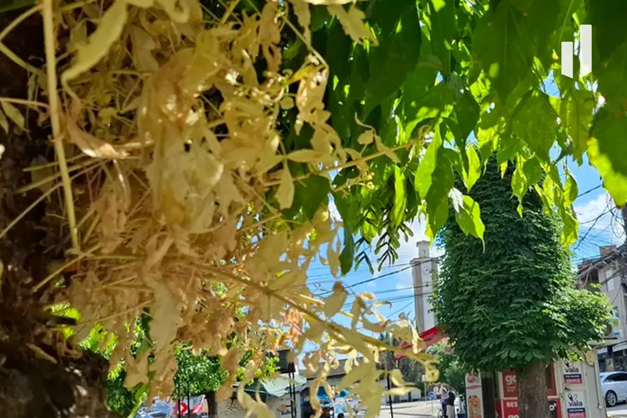 Parashikimi i motit për këtë vikend