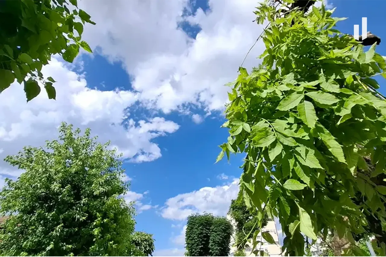 Parashikimi i motit për fundjavën