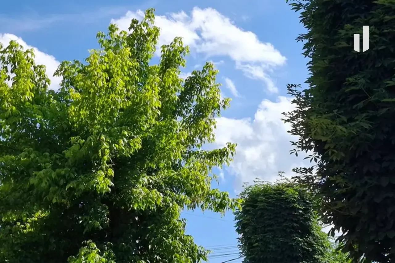 Parashihet mot me diell dhe pjesërisht i vranët