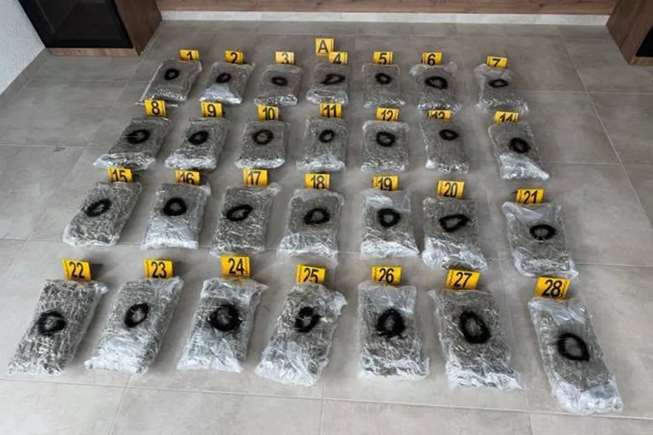 Policia dhe Prokuroria në Prishtinë sekuestrojnë rreth 60 kilogramë substancë narkotike, arrestohen katër të dyshuar