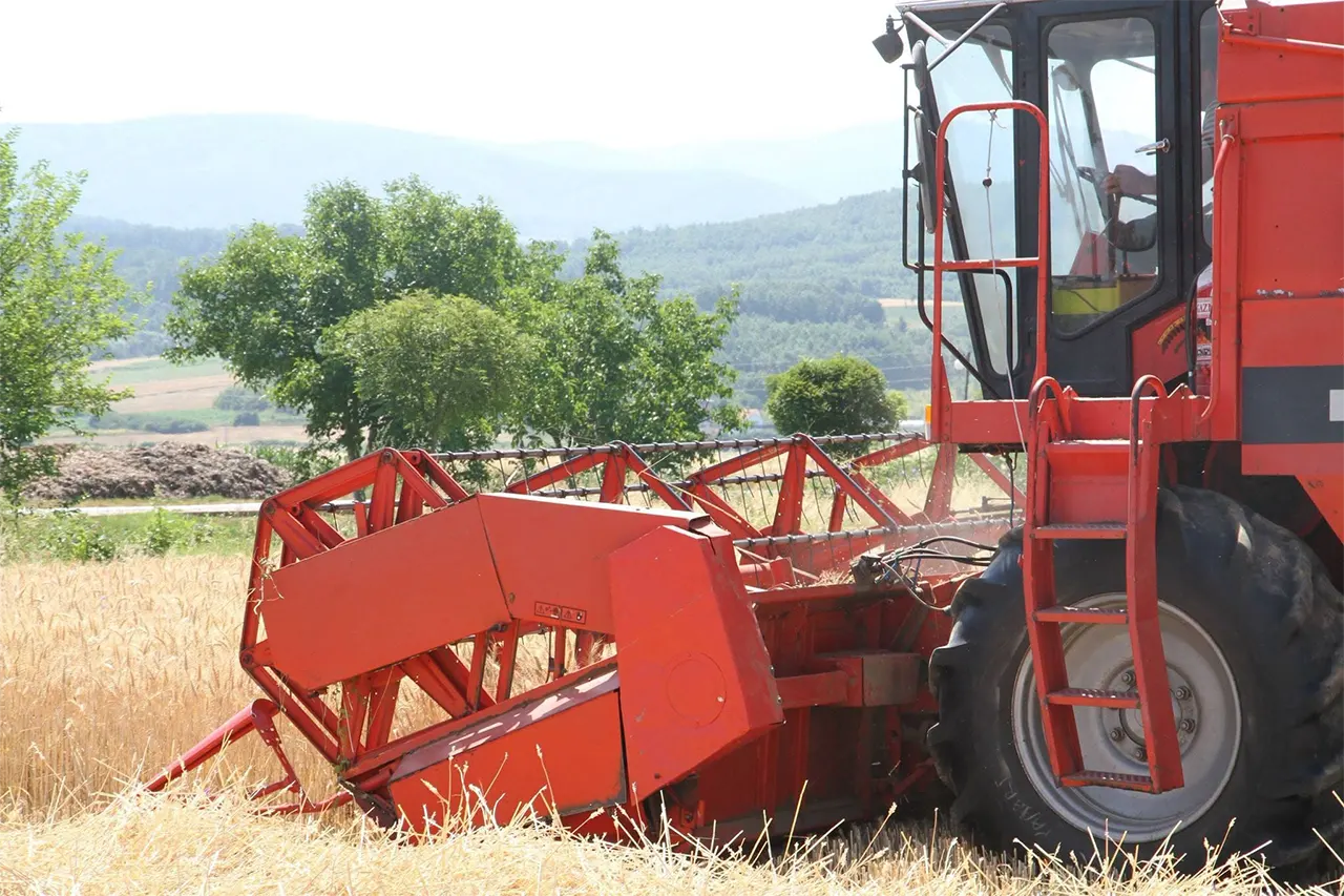 Ka nisur fushata e korrje shirjeve në Komunën e Vitisë