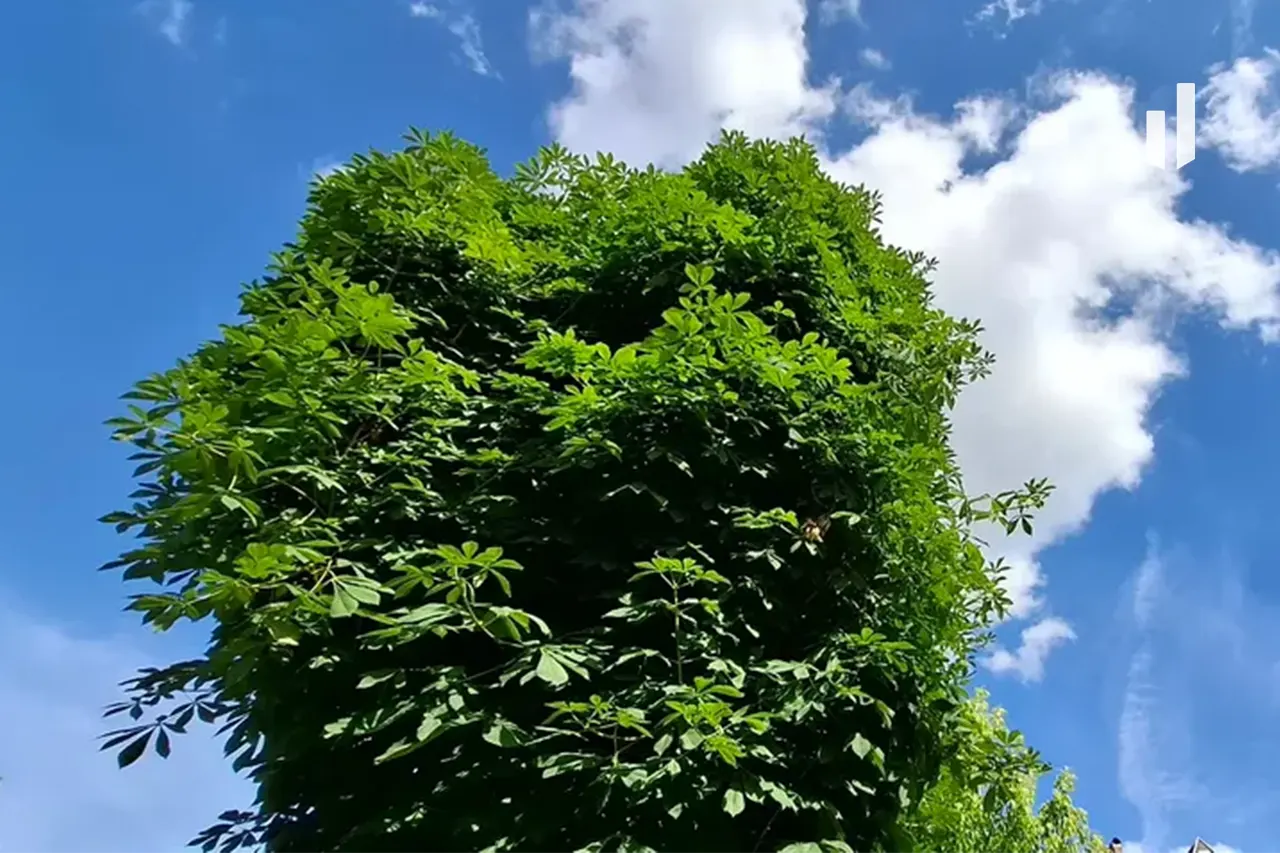 Do të mbajë mot kryesisht me diell, me kalime të pakta vranësirash