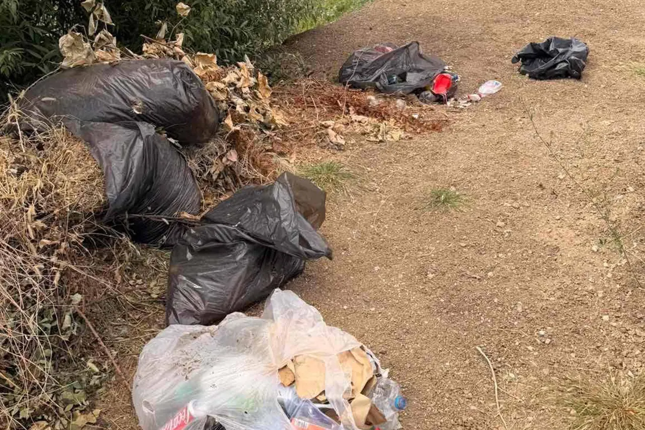 Drejtoria e Inspeksionit gjobit personin që hodhi mbeturina në livadhet e Malishevës